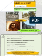 Cartell PDF