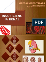 Insuficiencia Renal