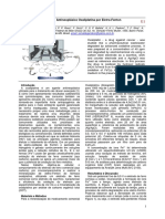 Mineralização do Agente Antineoplásico Oxaliplatina por Eletro-Fenton