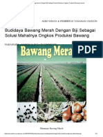 Budidaya Bawang Merah Dengan Biji Sebagai Solusi Mahalnya Ongkos Produksi Bawang - Waras Farm