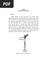 Download BAB II by Ewith Rischa Rachma SN299828519 doc pdf