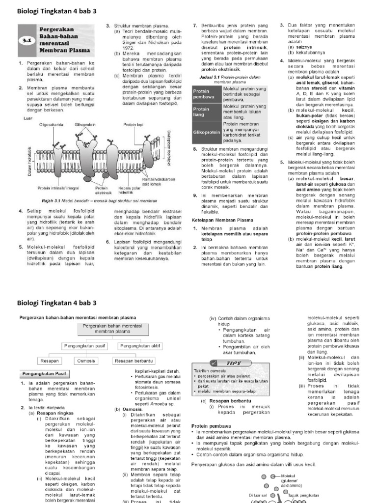 Biologi Tingkatan 4 Bab 3 Pdf