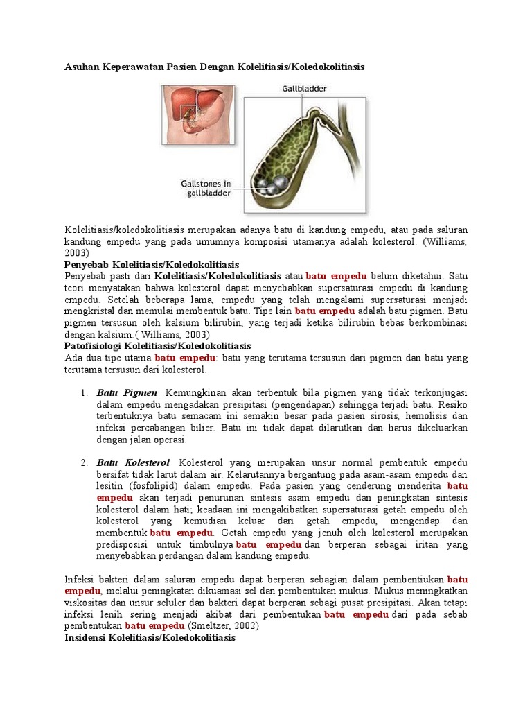 46313822 Asuhan Keperawatan Pasien Dengan Kolelitiasis
