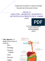 Digestion Absorcion Medicina 1 Digesti Ón y Absorci Ón