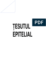 Curs Tesut Epitelial Studenti (2015)