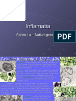 Inflamatia Partea I