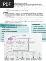 Tema 09 – Afecções Reumatológicas Na Infância