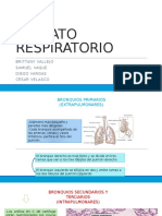 Aparato Respiratorio