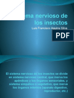 Sistema Nervioso de Los Insectos