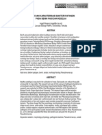 Download Isolasi Dan Karakterisasi Bakteri Patogen Pada Benih Padi Dan Kedelai by Baiquni Al Fikri SN299874046 doc pdf