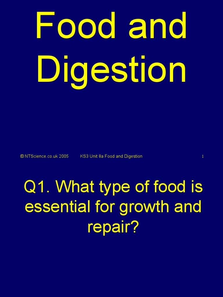 8a Food Digestion Science Quiz Digestion Gastrointestinal Tract