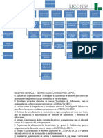 Leche Liconsa Estructura Organizacional