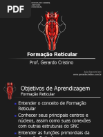 T4 Formacao Reticular
