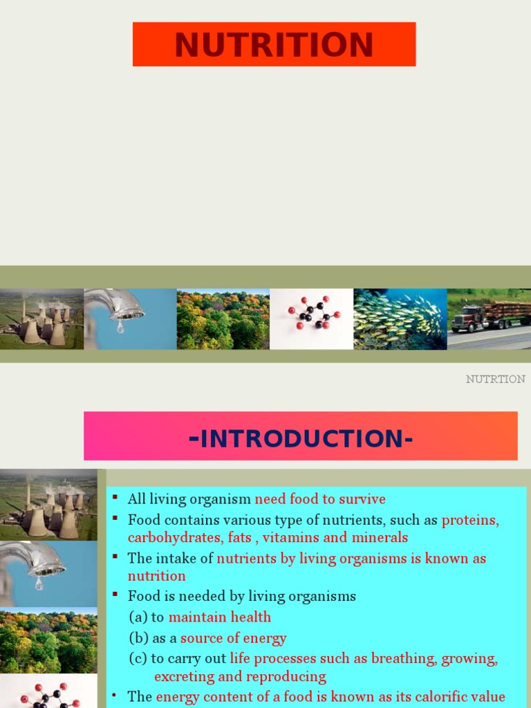 😎 Why do living organisms need nutrition. Why do living organisms need