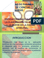 Produccionmaslimpia Palmaafricana 101006130331 Phpapp02