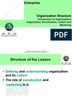 Introduction To Organizations Organization Socialization, Culture and Mentoring