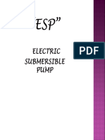 ESP_introduction.pdf