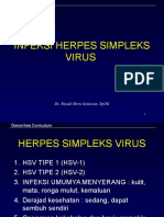 Herpes Virus