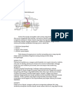 Anfis Sistem Pencernaan