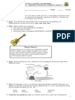 Diagn. DBA 3°