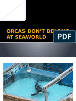 Orcas at Seaworld