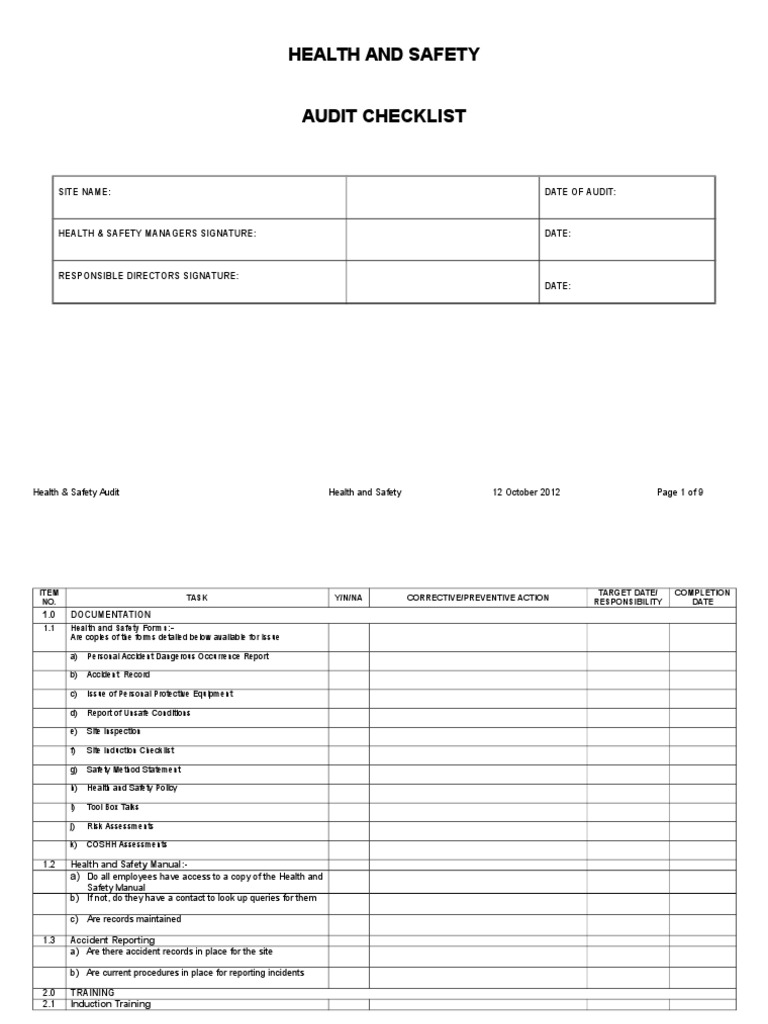 Blank Audit Template | PDF