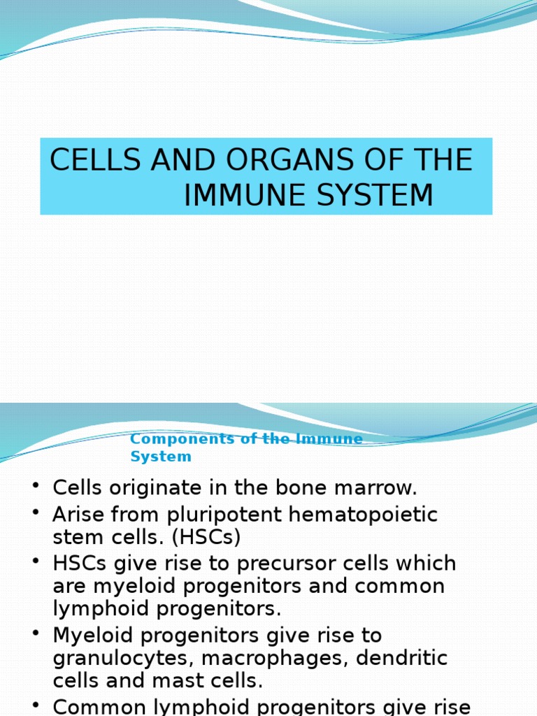 Cells and Organs of The Immune System | PDF | Granulocyte | White Blood ...