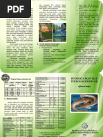 Leaflet Budidaya Ikan Lele Teknologi Bioflok