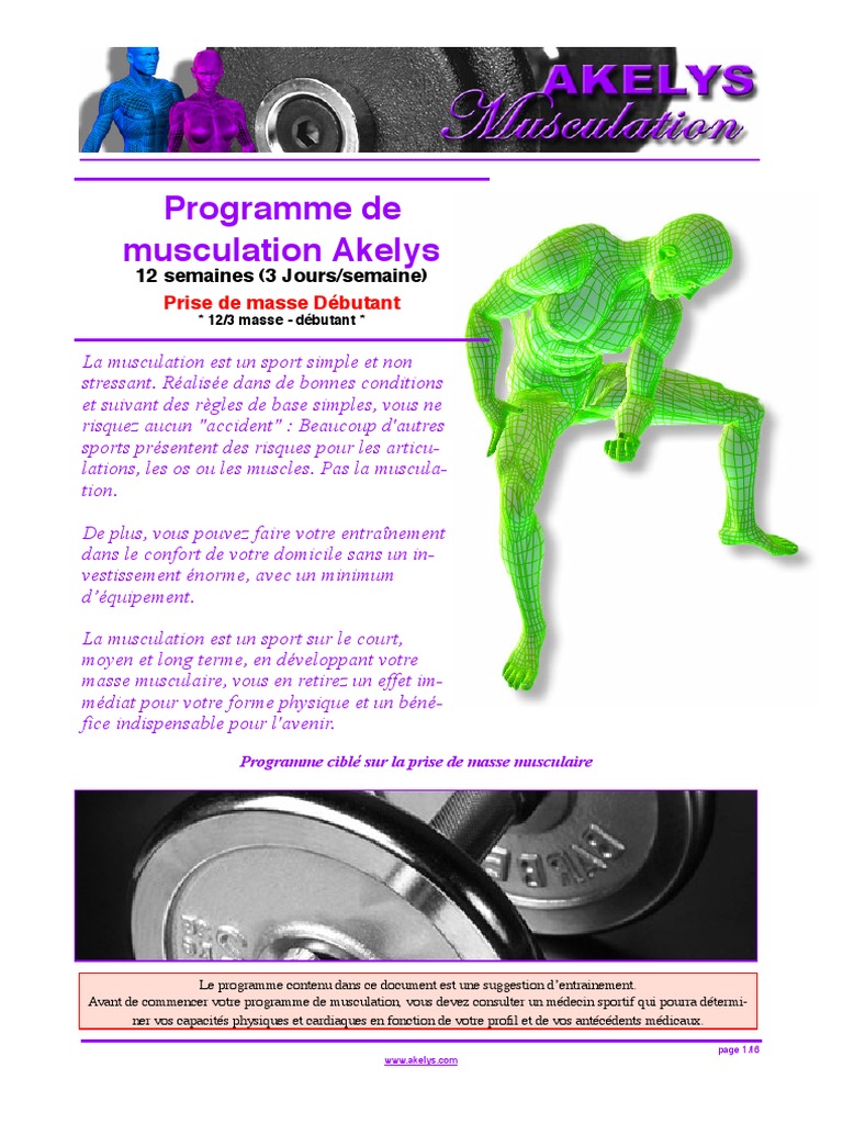 Programme Musculation Prise De Masse Débutant Pdf