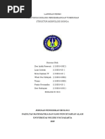 Laporan Praktikum Botani Morfologi Daun