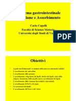 3.Gastro.pdf