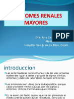 Sindromes Renales Mayores 13042015