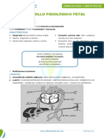 Desarrollo Fisiologico Fetal