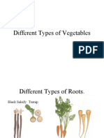 Different Types of Vegetables Continental and Indian