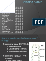 Sistem Saraf - Copy (2)