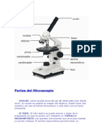 Partes y funcionamiento del microscopio óptico