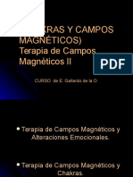 CHAKRAS y Campos Magnéticos