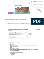 Examen Complementario de Bioquímica I 2014-1