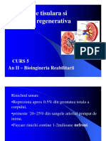 Medicina Regenerativa5 [Compagfhgfhtibility Mode]