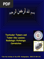 Download Tumors and Tumorlike Lesions of the Testis by ahmednag123 SN30007566 doc pdf