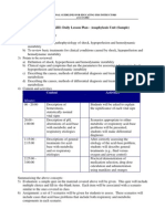 Appendix XIII - Daily Lesson Plan - xis