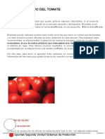 Cultivo Del Tomate Agroecosistemas