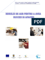 Reguli de Aur Pentru Succesul in Afaceri 