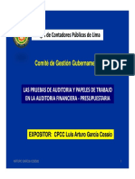 PruebasAuditoriaPapelesTrabajo (1).pdf