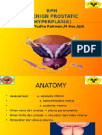 BPH (Benign Prostatic Hyperplasia) : DR Eka Yudha Rahman, M.Kes, Spu