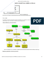 Mapa Conceptual Sobre La Célula