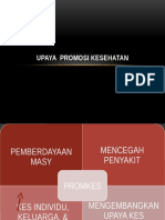 Upaya Promosi Kesehatan