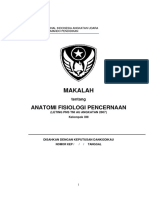 Naskah Sekolah Wingdikum Materi Anatomi Fisiologi Pencernaan