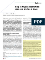 cAMP Signalling in Trypanosomatids: Role as Drug Target