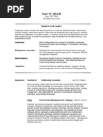 VP Business Development Strategy Risk in Houston TX Resume James Mitchell